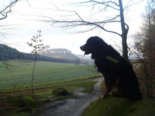 Vreni und die Festung Königstein