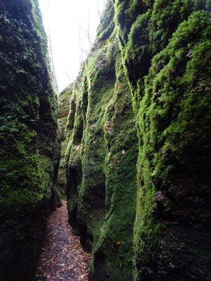 In der Drachenschlucht