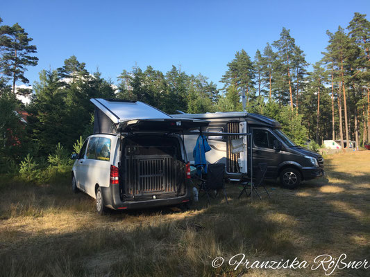 Treffen mit lieben Freunden auf dem Campingplatz