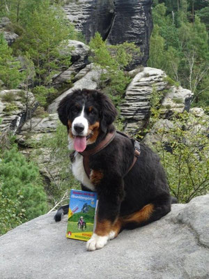 Unser kleines Model :-)
