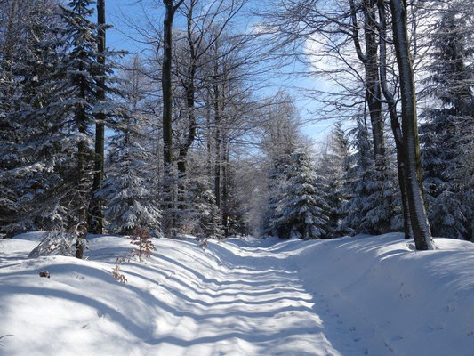 Winterimpressionen