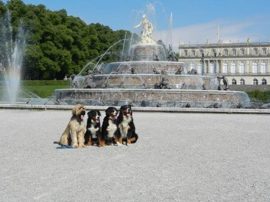 Nepomuk, Gusti, Senta und Bär in Herrenchiemsee