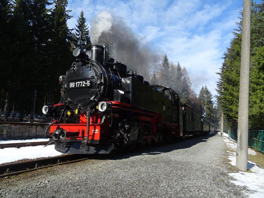 Einfahrt der Fichtelbergbahn