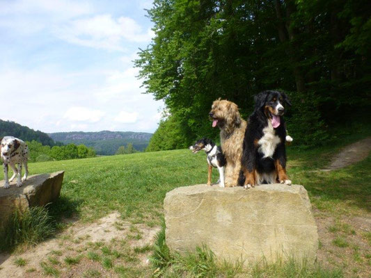 Daro, Nepomuk und Vreni