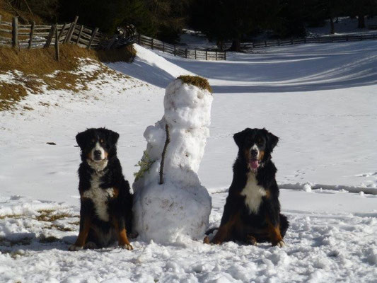 Einer von den dreien ist der Schneemann :-)