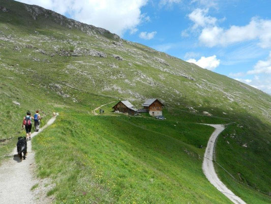 Blick zur Medalges-Alm
