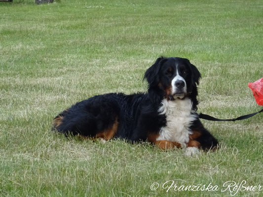 Selma hat alles im Blick