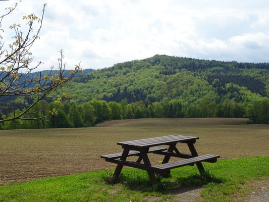 Blick vom Campingplatz zur "Hohen Liebe"