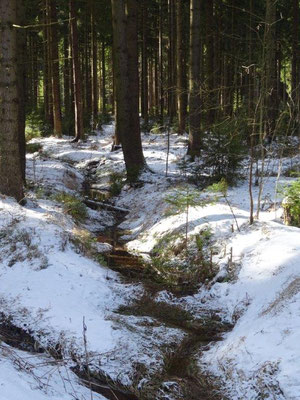 Winterende im Erzgebirge