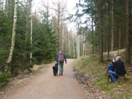 Kleine Trainingseinlage - im "Fuß" an essenden Menschen vorbei - für manchen Berner eine Herausforderung. Vreni hat das ganz toll gemeistert.