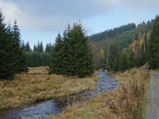 Und wieder unten am Schwarzwasser