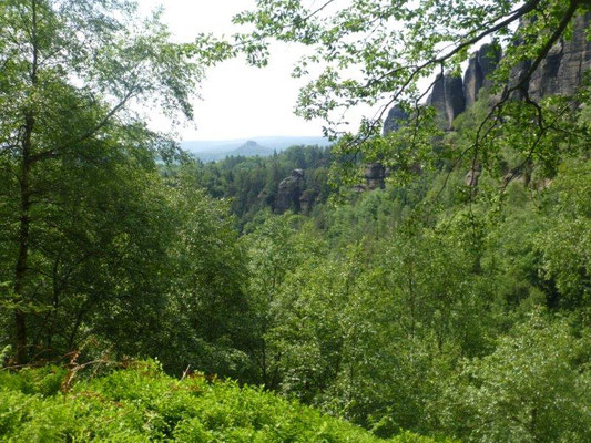 Traumhafte Ausblicke in der Rotkehlchenstiege