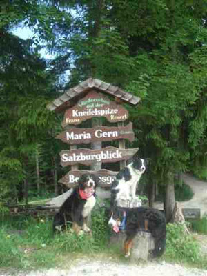 Auf der Kneifelspitze - Gusti tut nur so ;-)