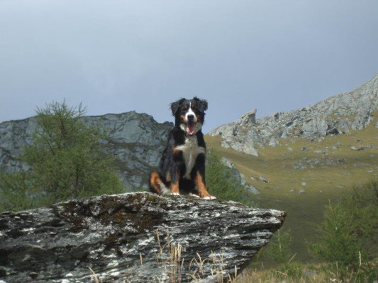 Gusti auf dem Weg zur Sajathütte