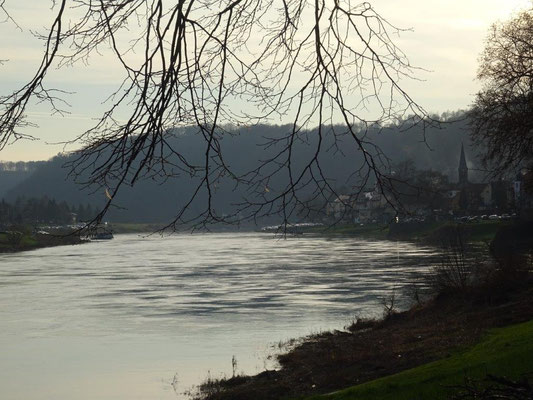 Abendstimmung an der Elbe bei Wehlen