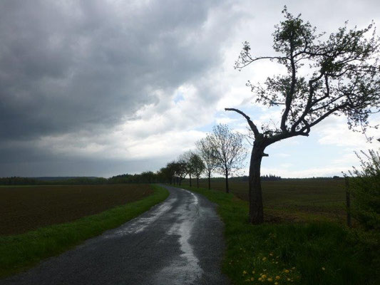 Nach dem Regenguß