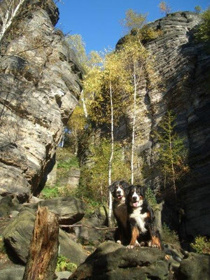 Gusti und Senta im herbstlichen Bielatal