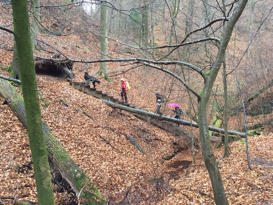 In der Landgrafenschlucht