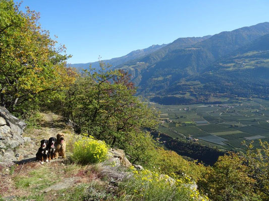 Wandern im Vinschger Sonnenberg