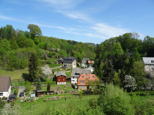 Blick über Schöna