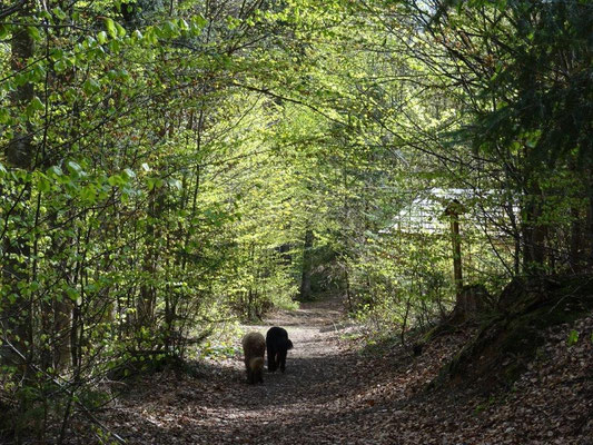 Auf dem Weg zur Wolfskapelle