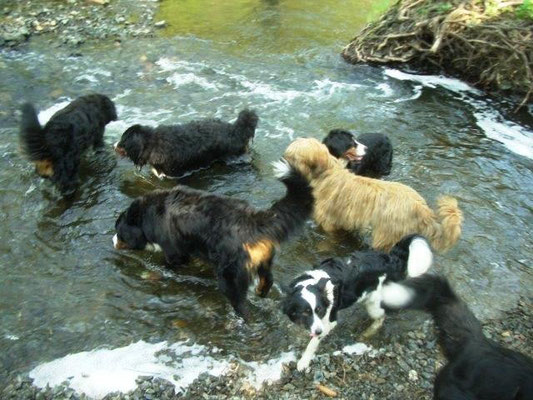 Bernertreffen im Selketal