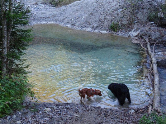 Erfrischung im Münstertal