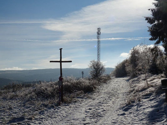 Am Waldrand oberhalb von Neudorf
