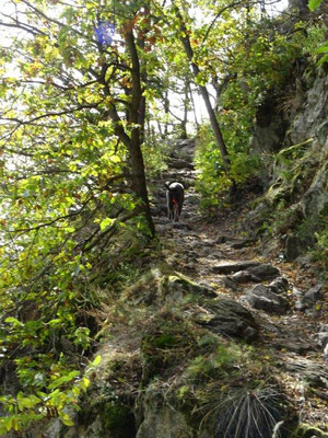 Im Schatten des Waldes geht es steil aufwärts