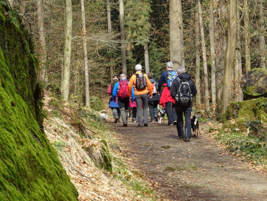 Auf dem Weg durch's Polenztal