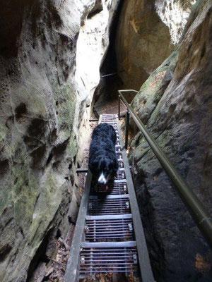 In der Wolfsschlucht auf den Hockstein