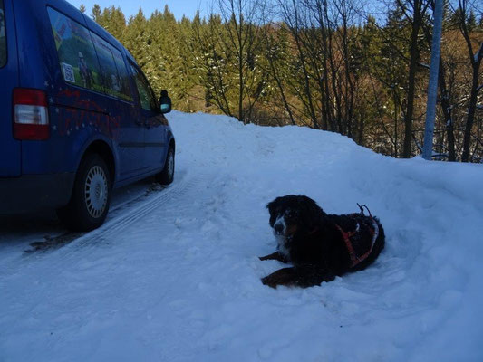 Zurück am Auto :-)