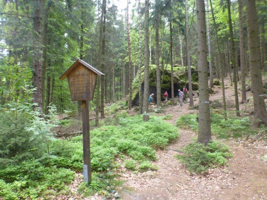 Die Wildbrethöhle im Wald unterhalb des Zschirnsteins