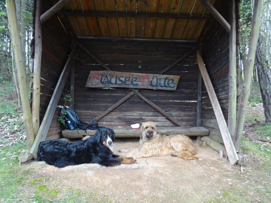 Zum Glück war gleich eine Schutzhütte am Weg