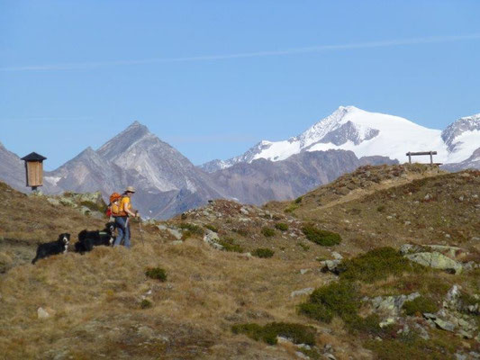 Wanderung zur Lasörlinghütte