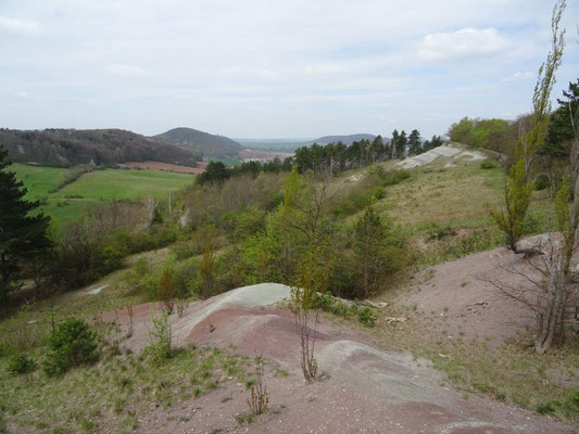 Steppenlandschaft am Burgberg Wachsenburg