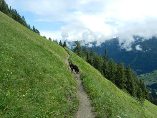 Mit Gusti auf dem Weg zur Nilljochhütte