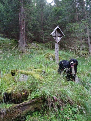 Steiler Aufstieg durch den Wald...