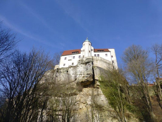 Die Burg Hohnstein