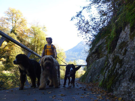 Gitterstege in der Passerschlucht