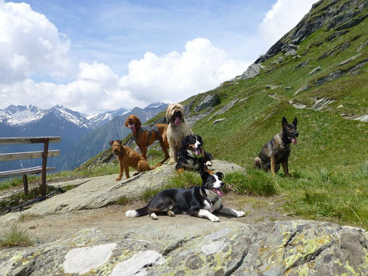 Rast am "Fenster", einem herrlichen Aussichtspunkt am Prägratener Höhenweg