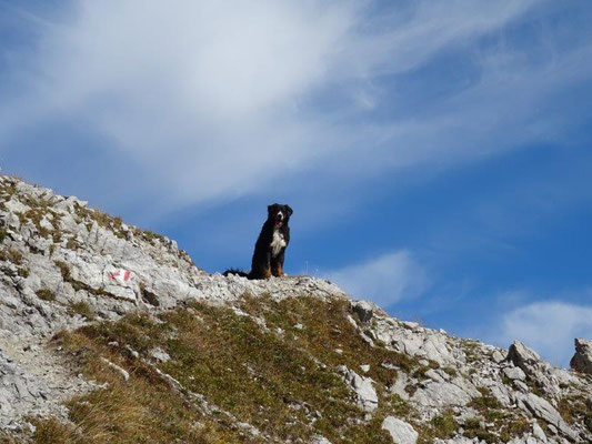 Aufstieg auf den Piz Lat