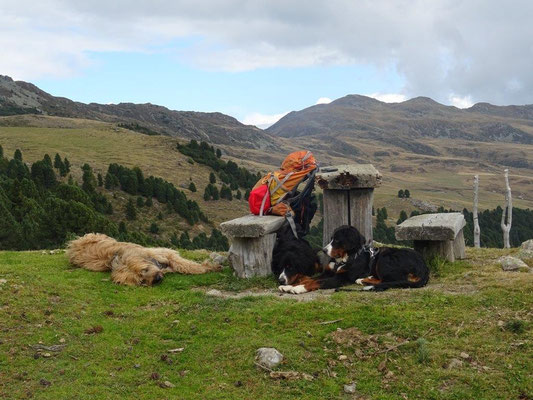 Man soll keine schlafenden Hunde wecken :-)