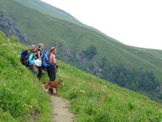 Ein steiler Wiesenpfad führt über die Sajatmähder hinauf zur Sajathütte