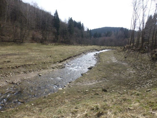 Die Große Mittweida, Zufluß der Talsperre