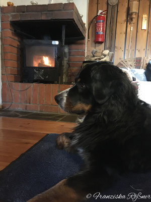 Unser Häuschen in Hugsnäset