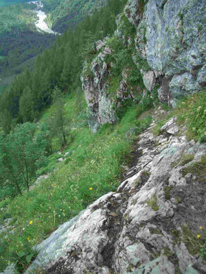 Der Rinnkendlsteig am Königssee ist ein für Hunde sehr anspruchsvoller Weg und sollte nur mit absolut trittsicheren und leitererfahrenen Hunden begangen werden.