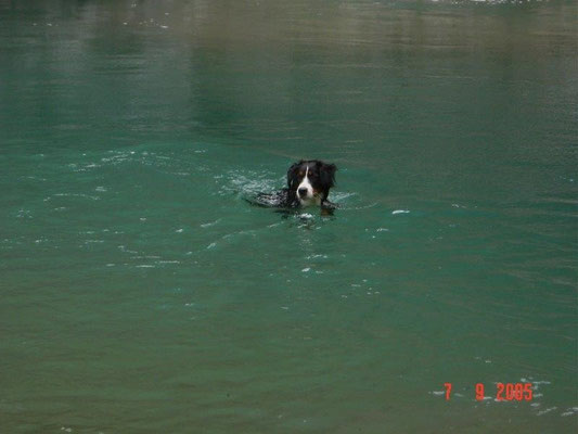 Die kleine Gusti kann schon schwimmen