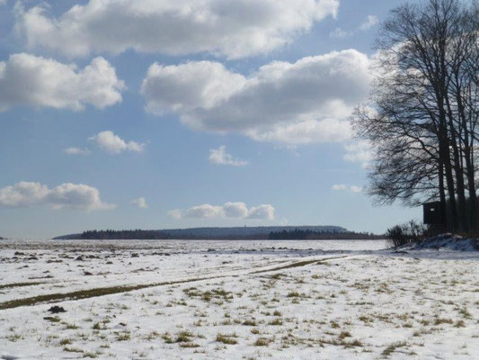 Blick von der Rosenthaler Ebene hinüber zum Hohen Schneeberg