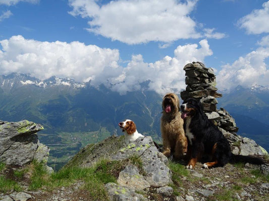 Lilly, Nepomuk und Vreni